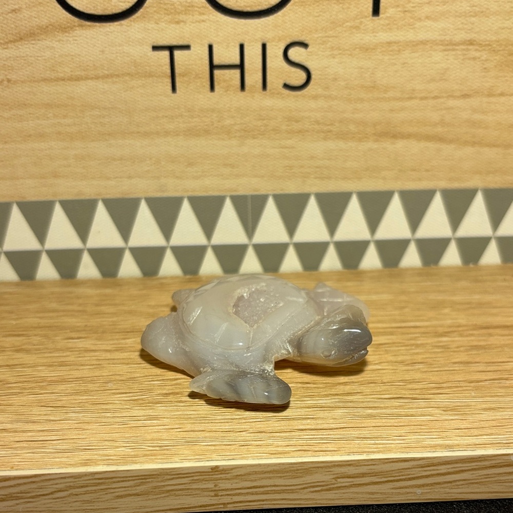 Druzy Agate Turtle (DAC7)